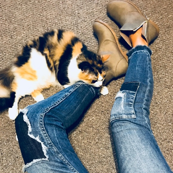 Meet your Posher, Hannah - Picture 6 of 6